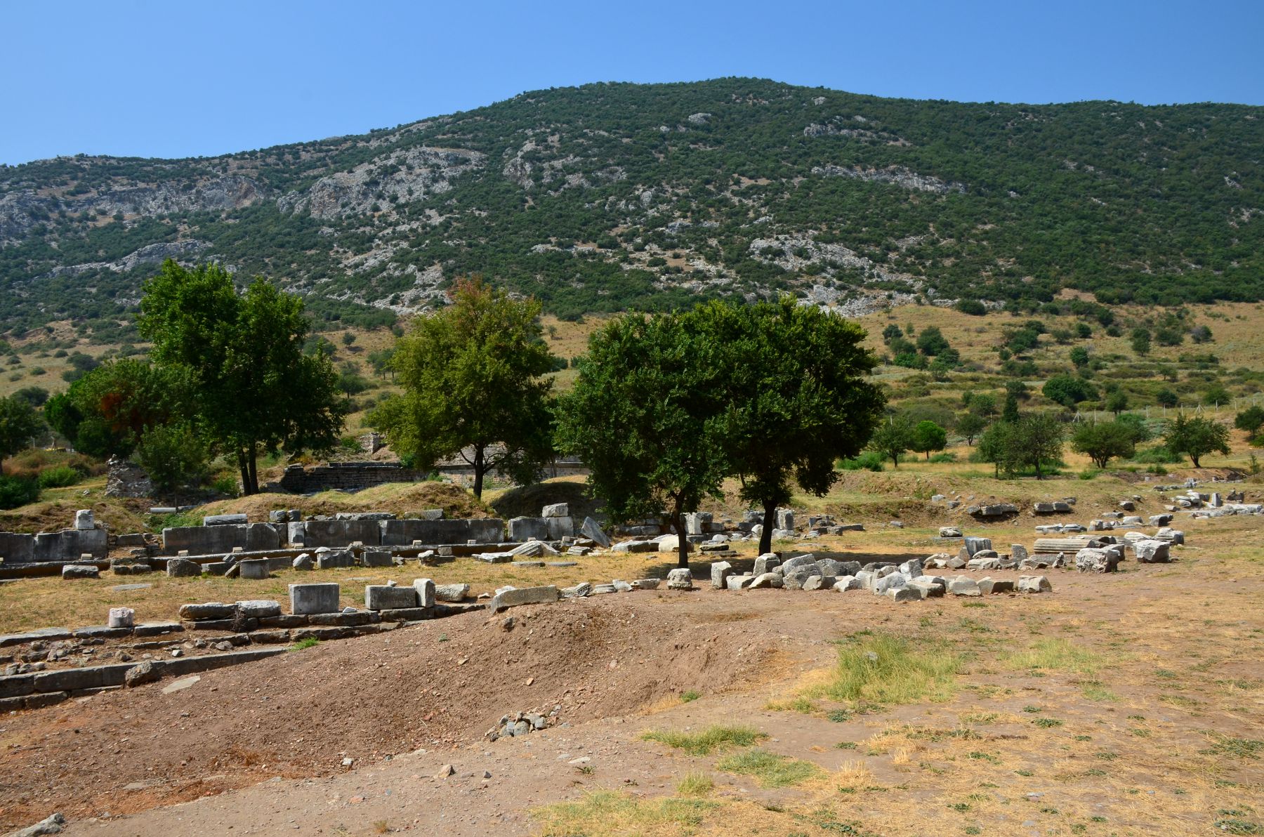 Ephesus, Selcuk